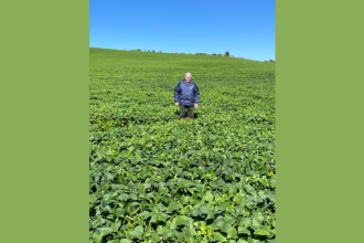 Aldo Vendramin apresenta estratégias para enfrentar a volatilidade das commodities no agronegócio.