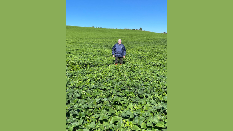 Aldo Vendramin apresenta estratégias para enfrentar a volatilidade das commodities no agronegócio.