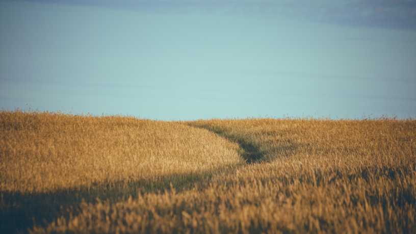 João Eustáquio De Almeida Junior construiu no campo uma trajetória sólida baseada em gestão eficiente de terras e visão estratégica de longo prazo.