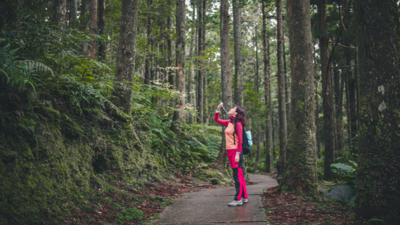 Daugliesi Giacomasi Souza