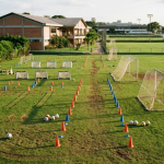 Felipe Schroeder dos Anjos